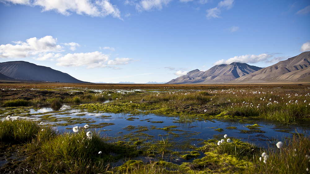 Adventdalen in autumn