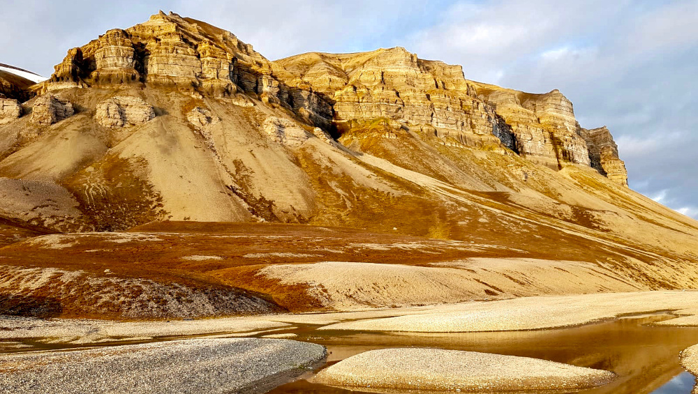 The Skansbukta in summer during the golden hour