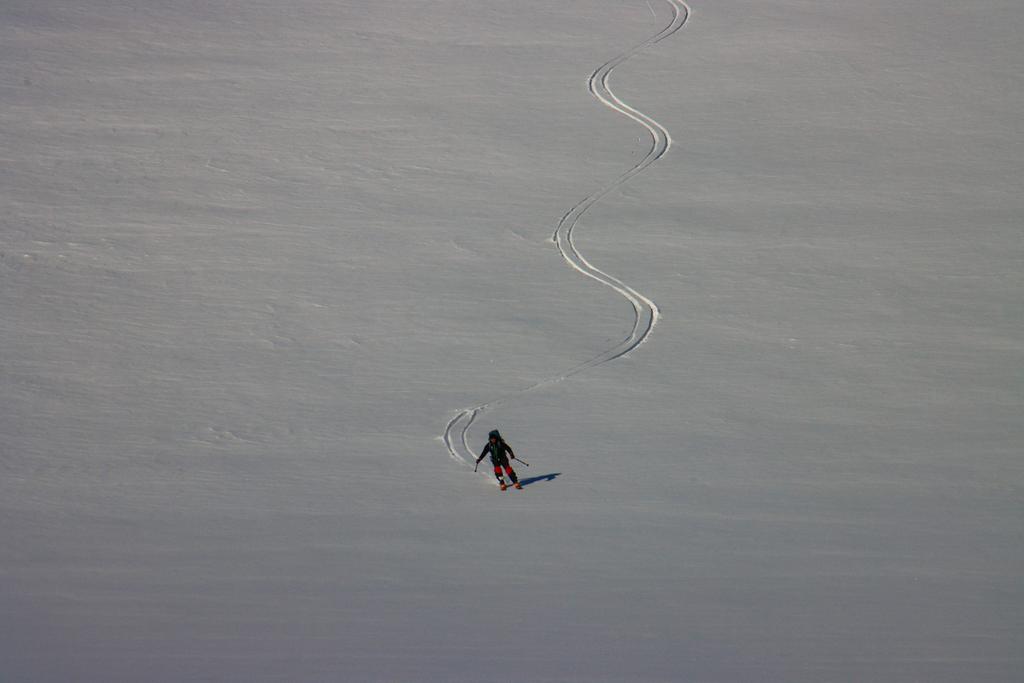 Ski-tour - Alpine skiing / Randonee skiing