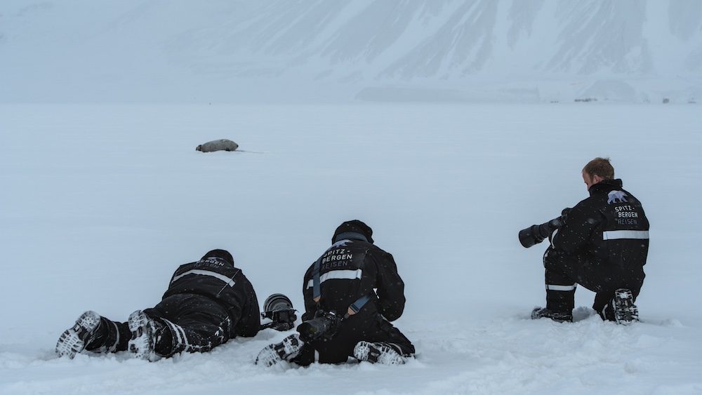 Several photographers in snowmobile suits take photos of a seal lying on the ice.