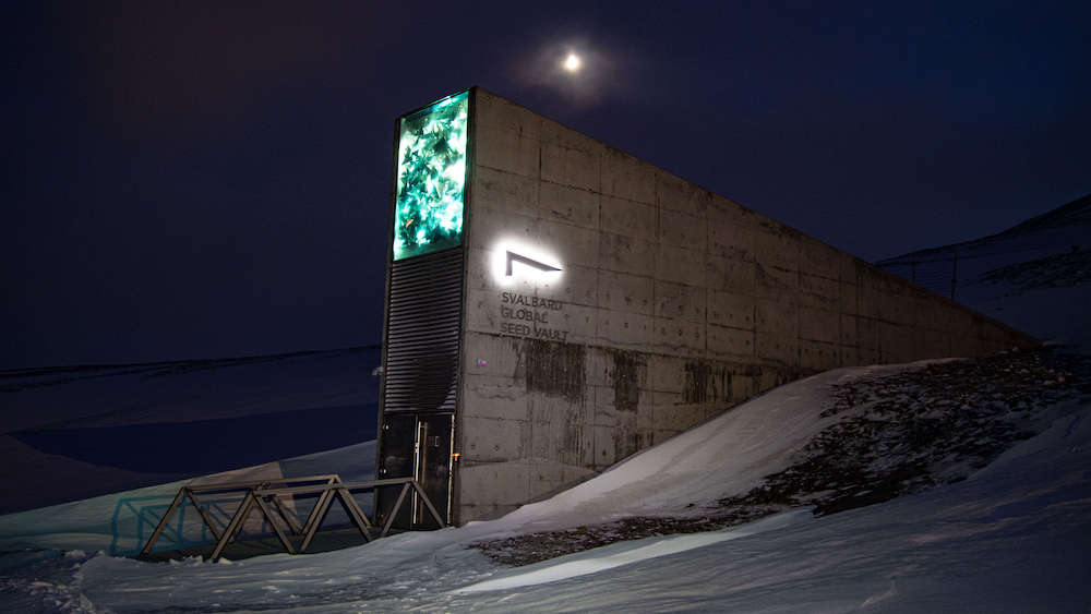 Global Seat Vault at night