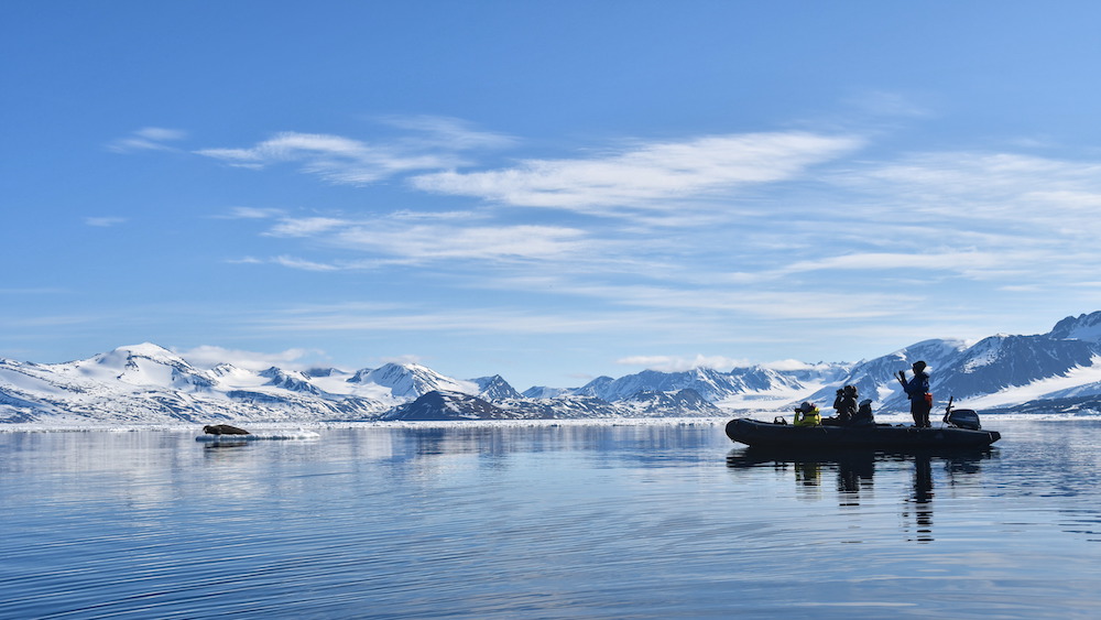 An inflatable boat near a seal lying on an ice floe
