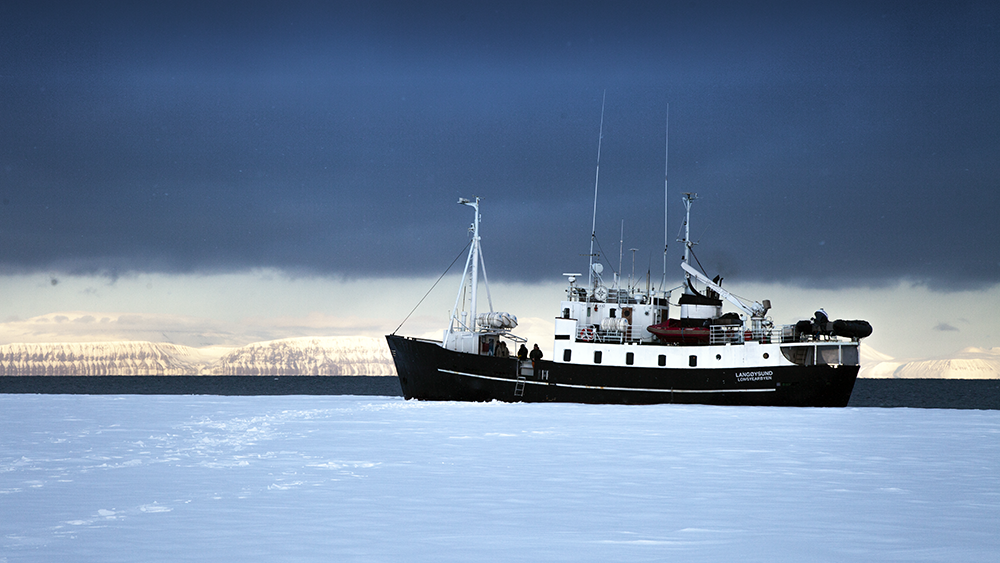 Expedition cruises
