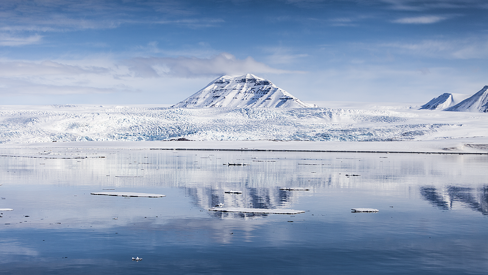Nordenskiöldbreen, Billefjorden