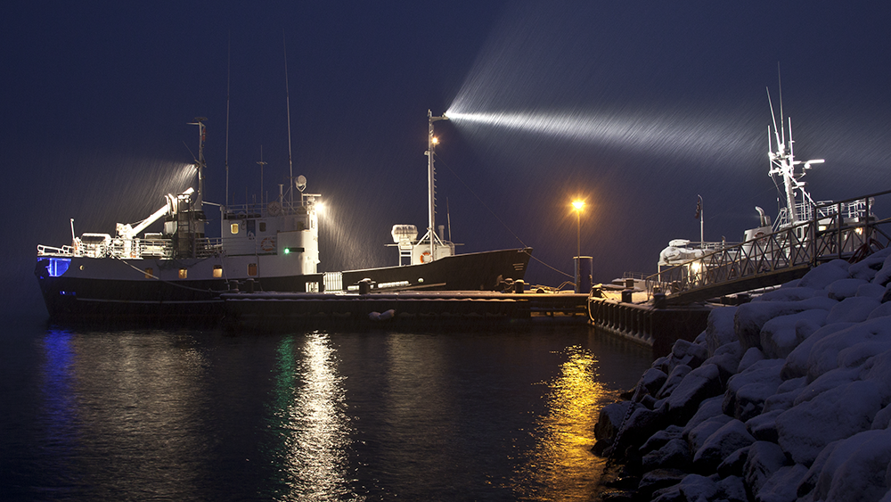Boat in the harbour