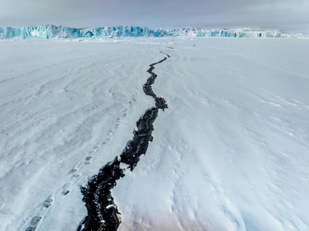 Polar bear tracks on sea ice