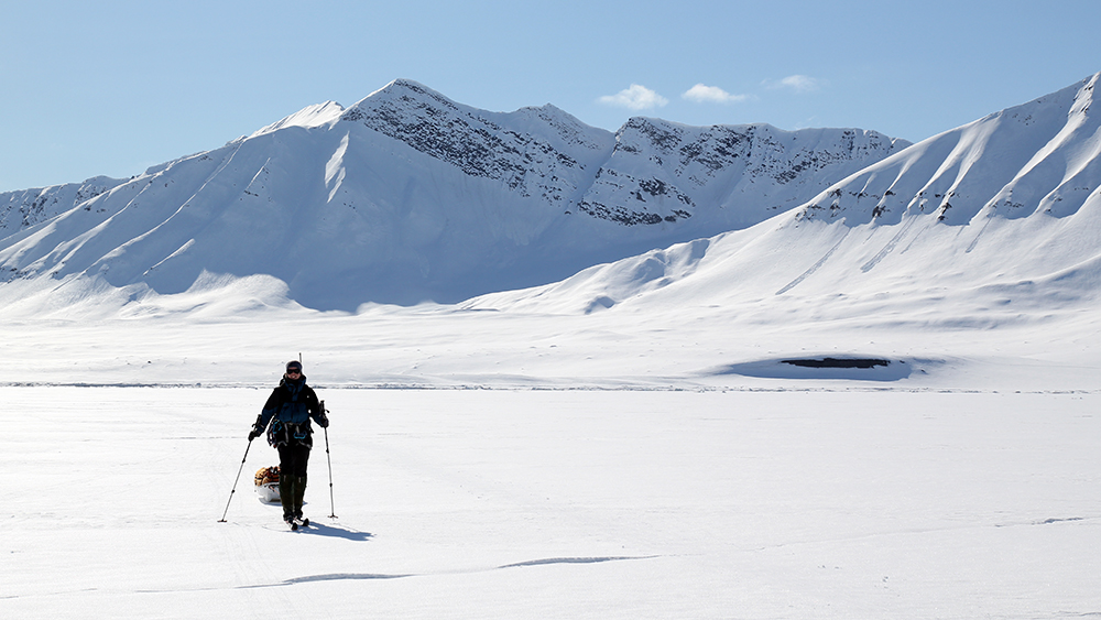 Skitrip over the Sea ice