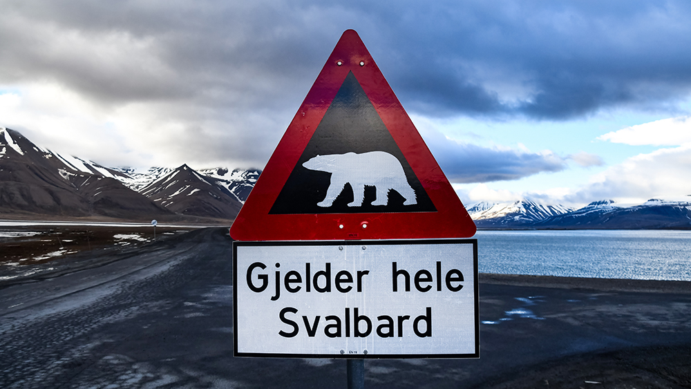 Longyearbyen Sightseeing