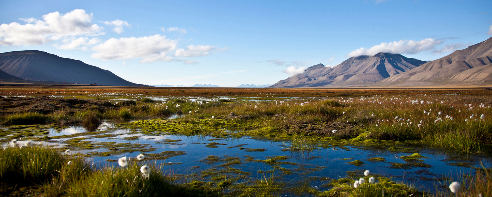Adventfjorden at Longyearbyen in summer