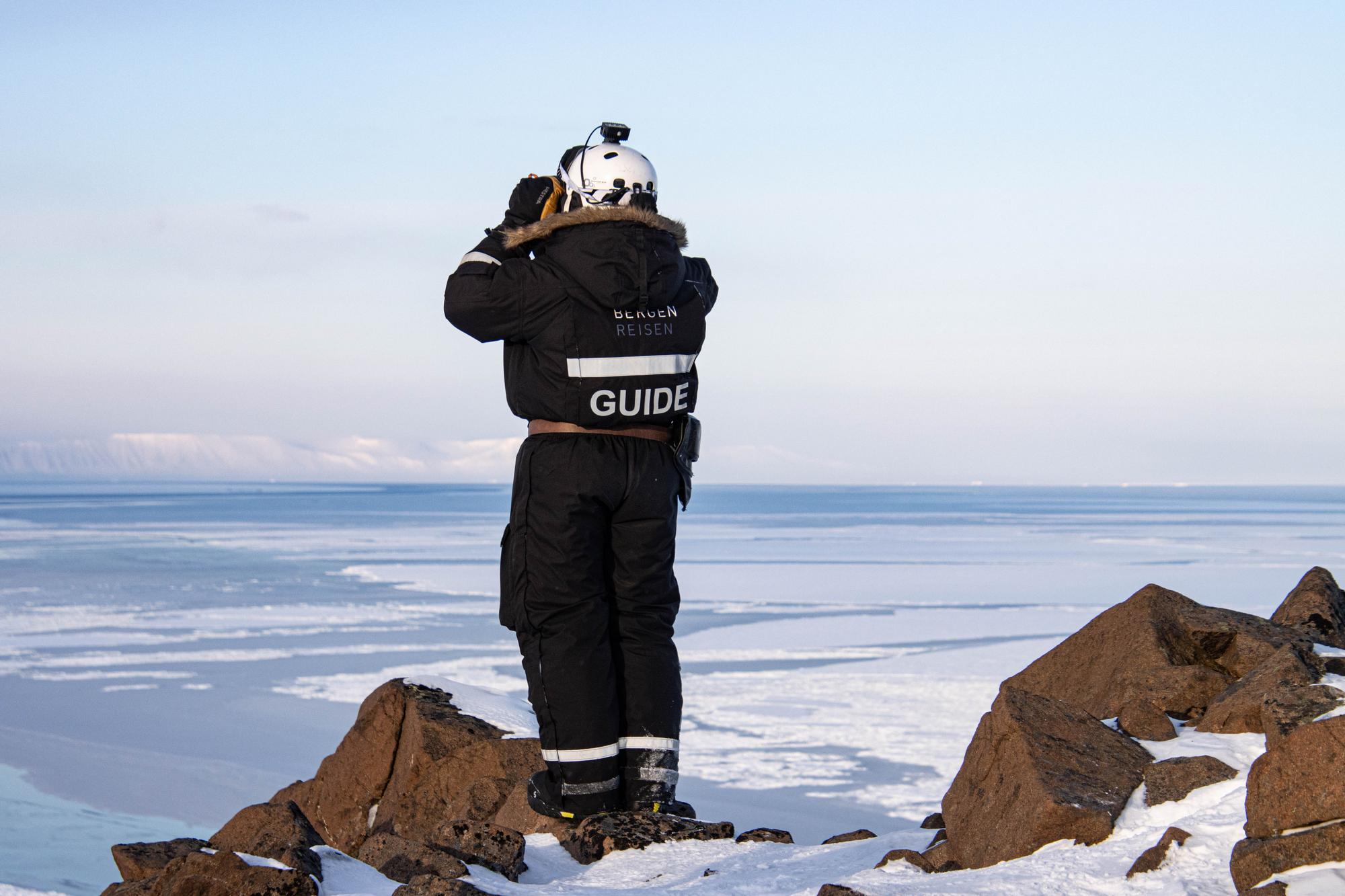 Searching for polar bears